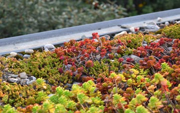the cost of The Den green roof installation