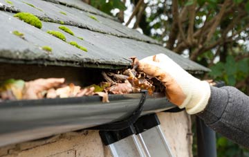 gutter cleaning The Den, North Ayrshire