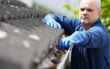 cleaning and inspecting The Den roofs