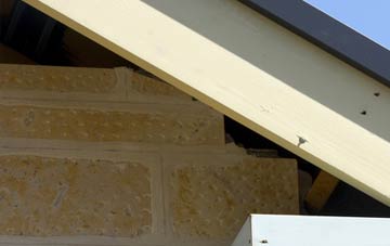 soffit repair The Den