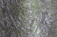 The Den fibreglass roof work