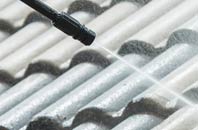 rated The Den roof cleaning companies